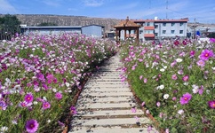 皇太子的初恋中文版